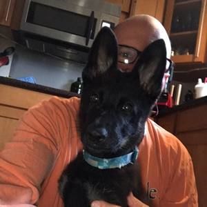 Meet your Posher, Greg